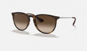 Ray Ban Erika Classic Women's Sunglasses Brown | HRBGW-1849